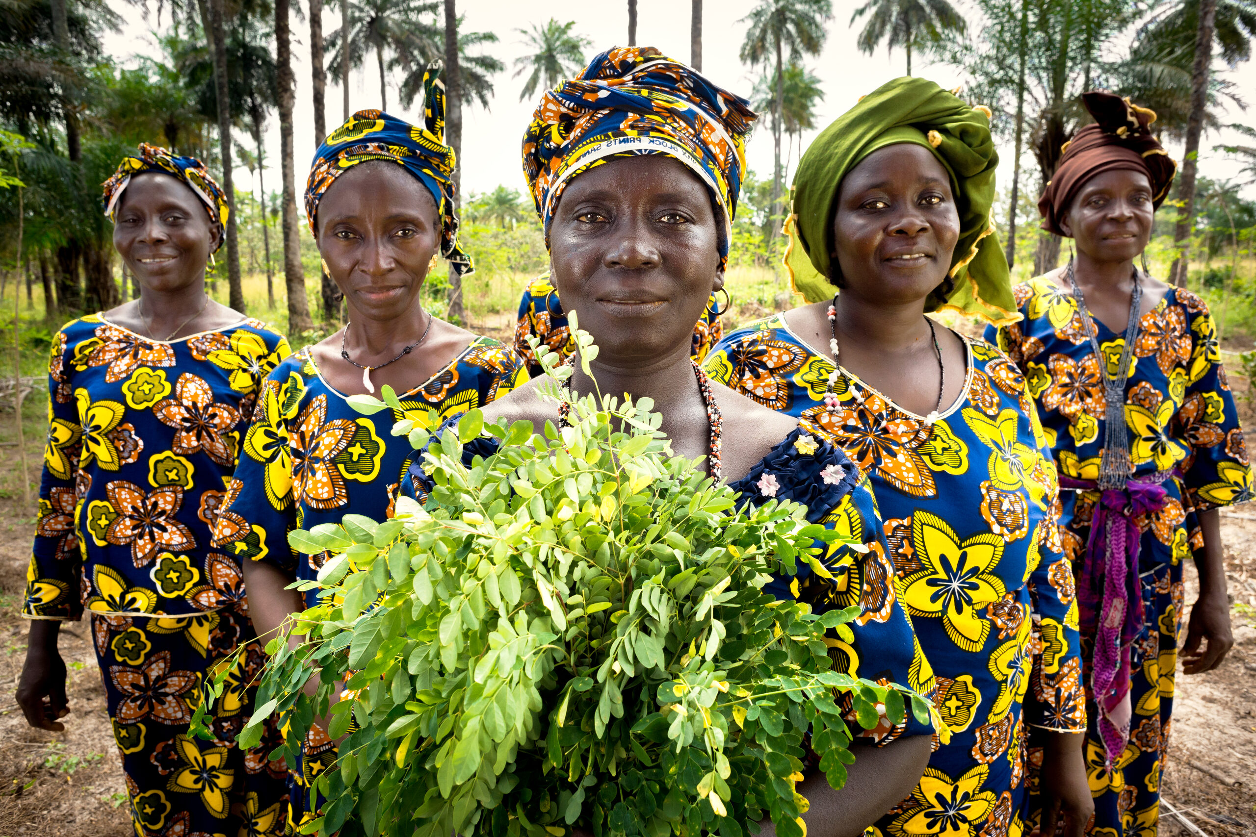 Five women in patterned dresses standing together in a palm grove, one holding a bundle of freshly picked greens