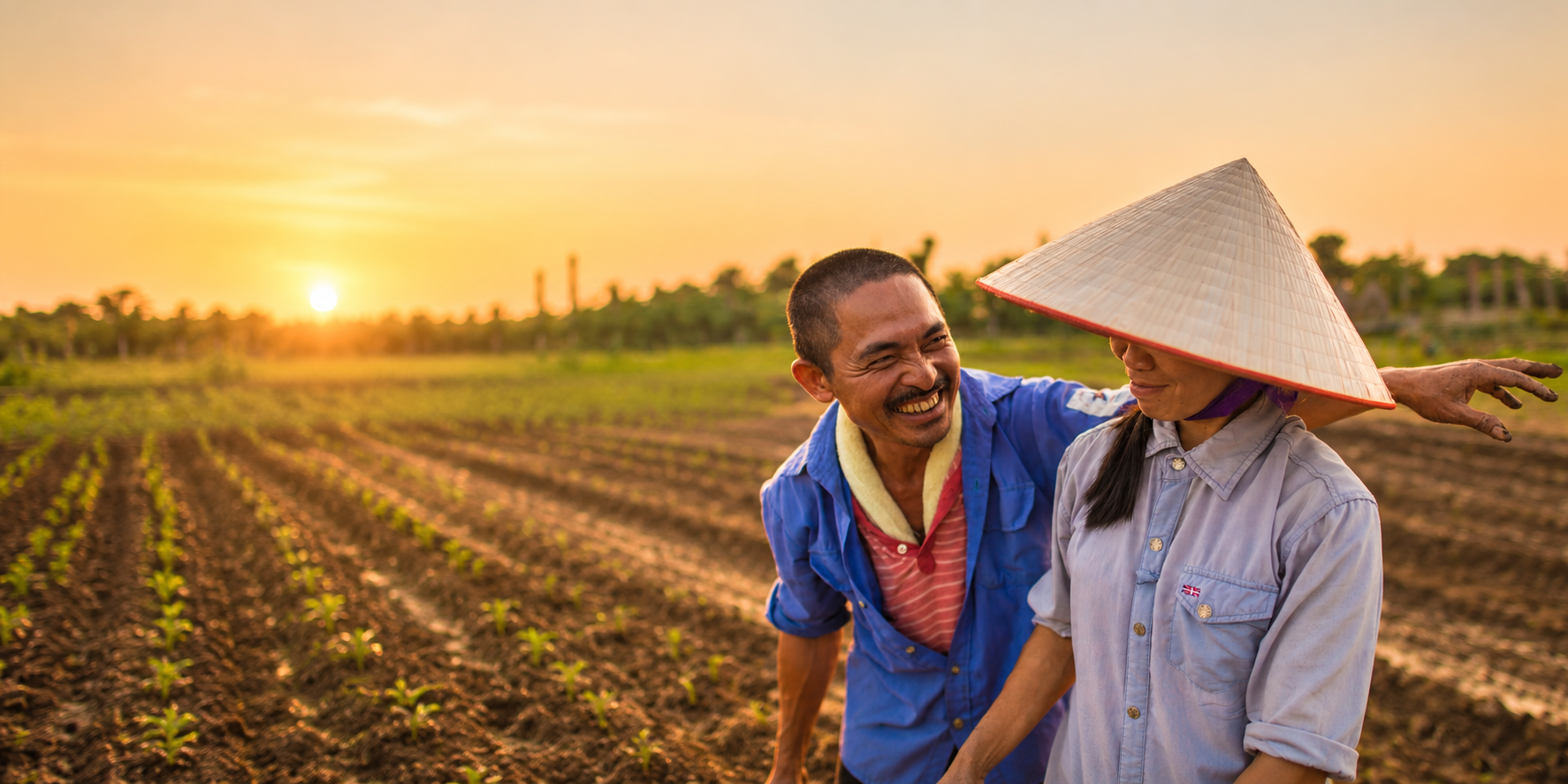 Expert support for jobs, social protection and just transitions