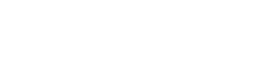 Joint SDG Fund
