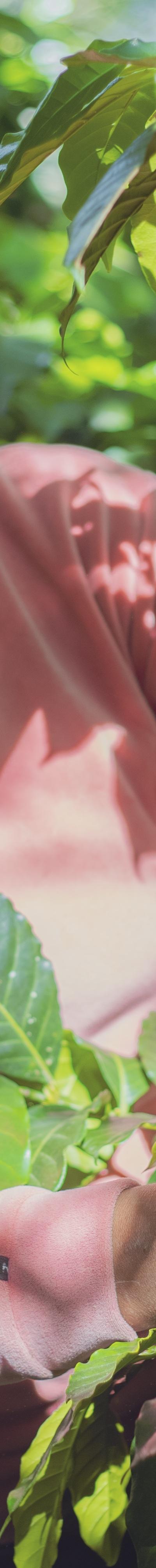 Woman working in a farm