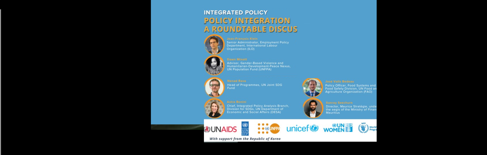 Integrated Policy roundtable