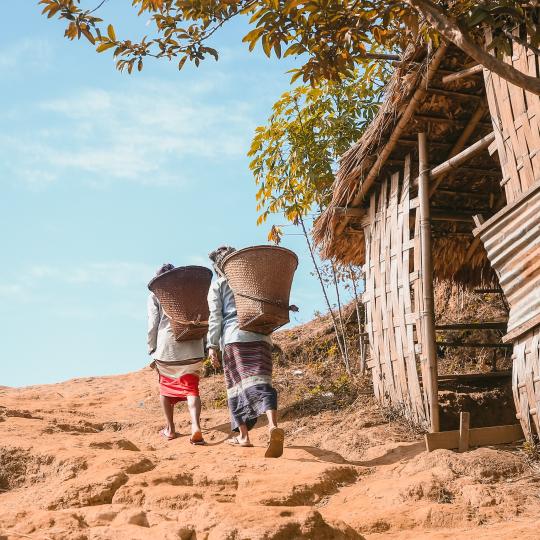 Back View of Women Carrying Baskets and Working on a Field