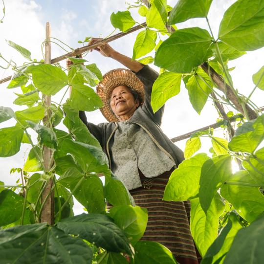 Women in agriculture