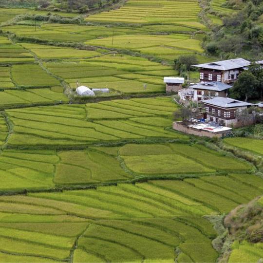 A small house in a large field in Bhutan