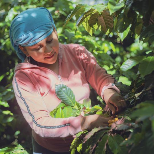 Woman working in a farm