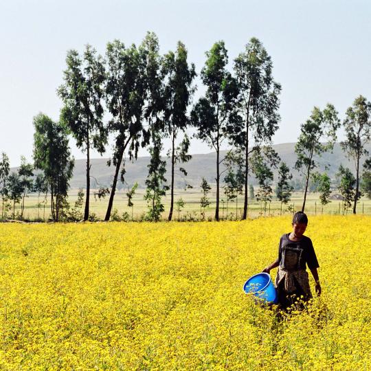 Woman in a field