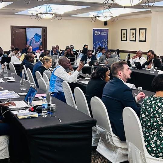 Participants at a conference