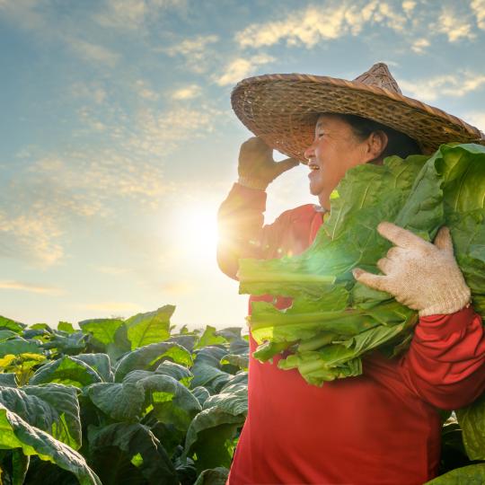 Woman in a field