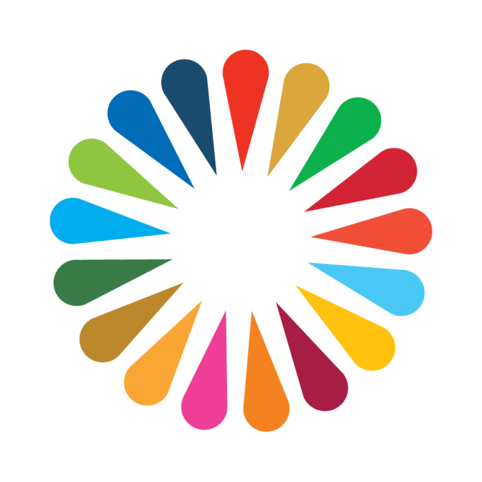 Joint SDG Fund Logo