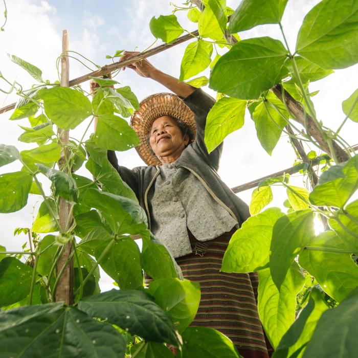 Women in agriculture