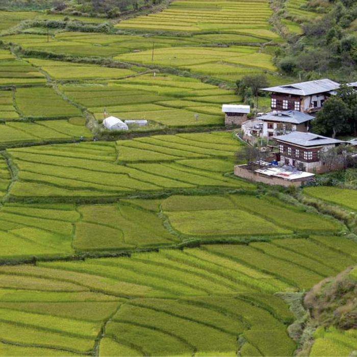 A small house in a large field in Bhutan