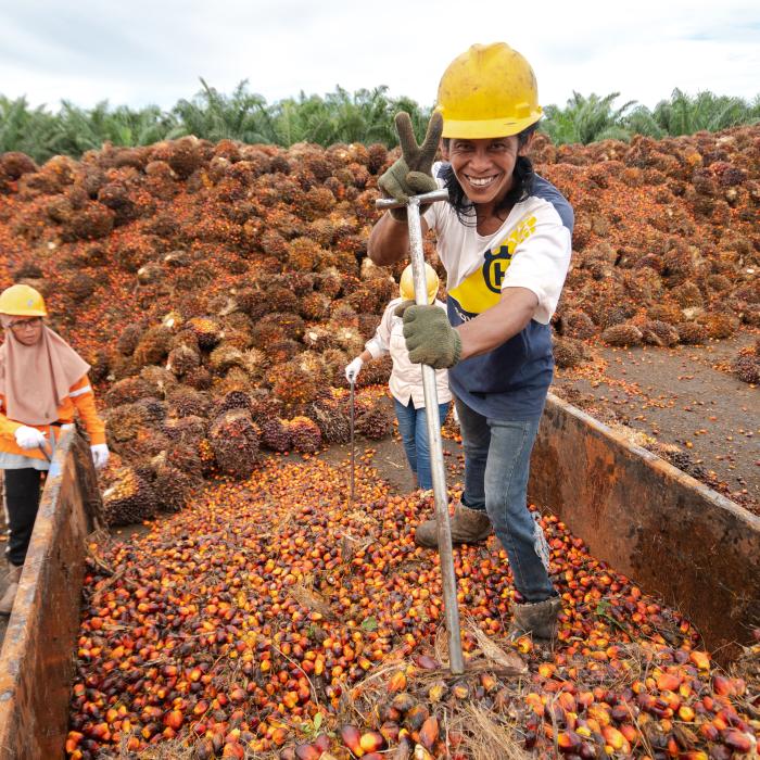 Women working in a farm