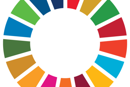 SDG wheel