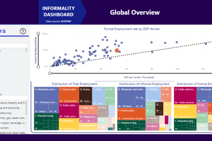 Screenshot from the Informality Dashboard