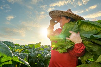 Happy looking woman in a field in Asia 