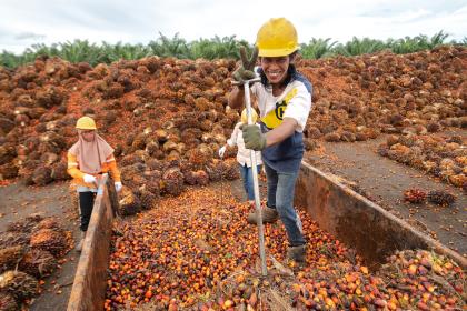 Women working in a farm