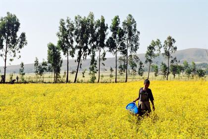 Woman in a field