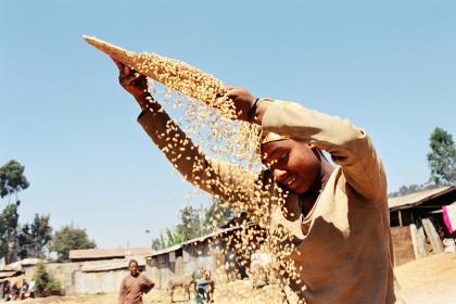 Stock image of a farmer