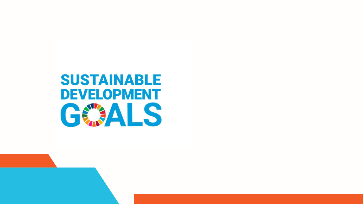 SDGS UN logo
