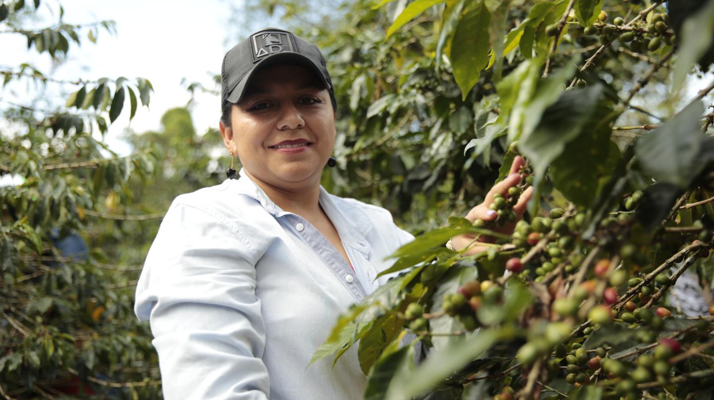Portrait photo worker coffee sector Colombia