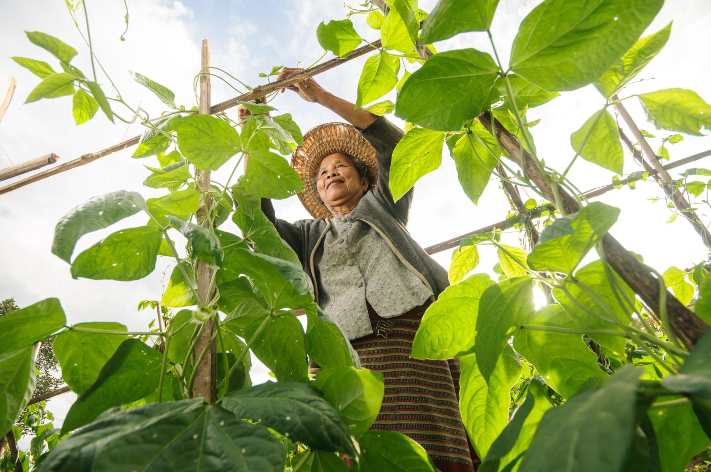 Women in agriculture