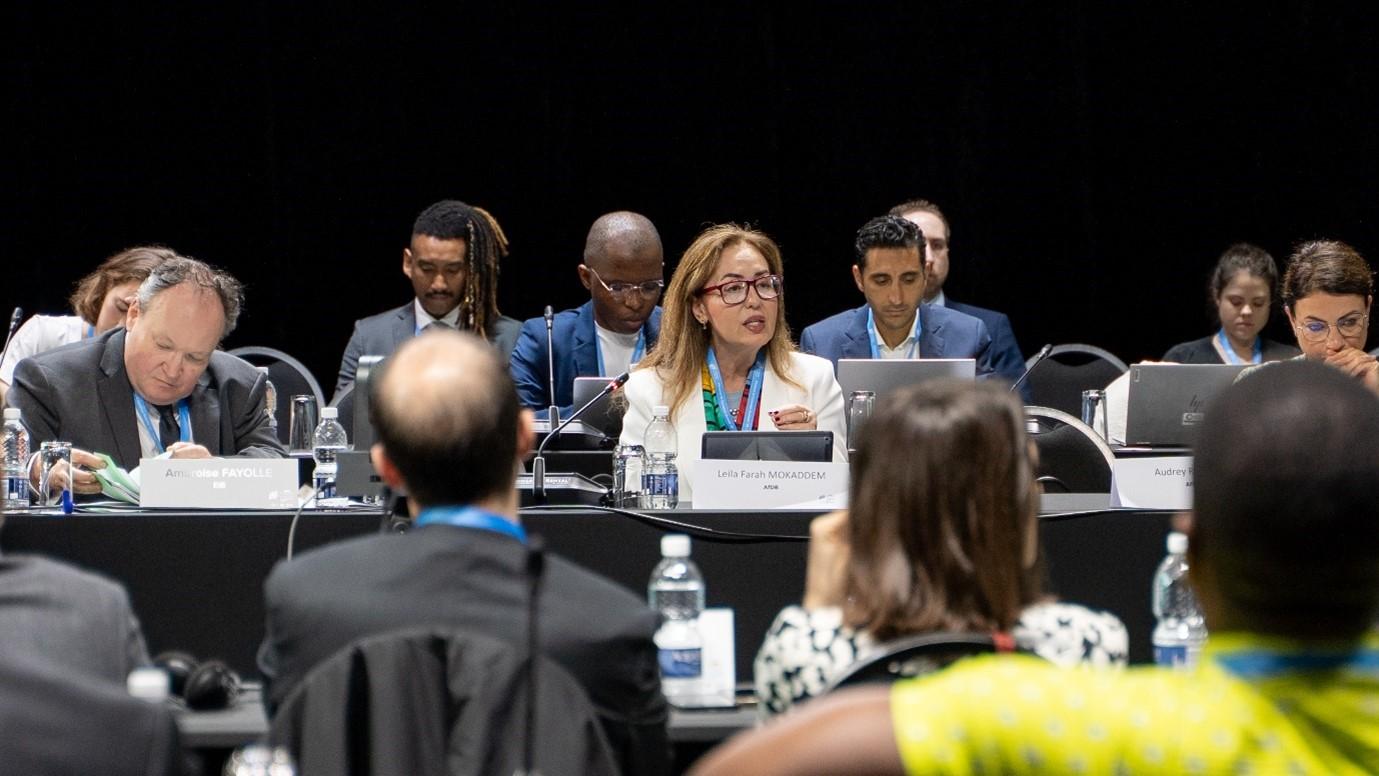 AfDB DG Leila Farah Mokaddem speaking