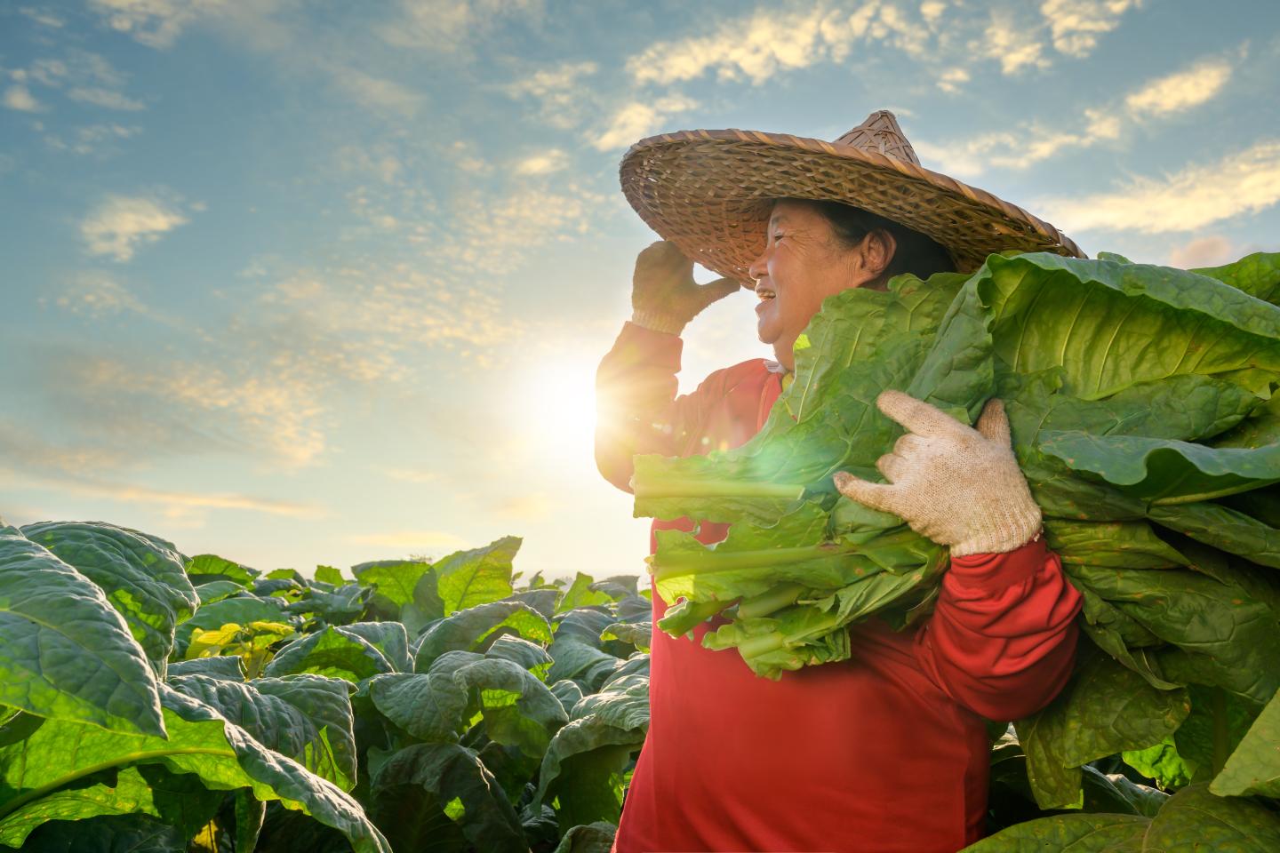 Happy looking woman in a field in Asia 