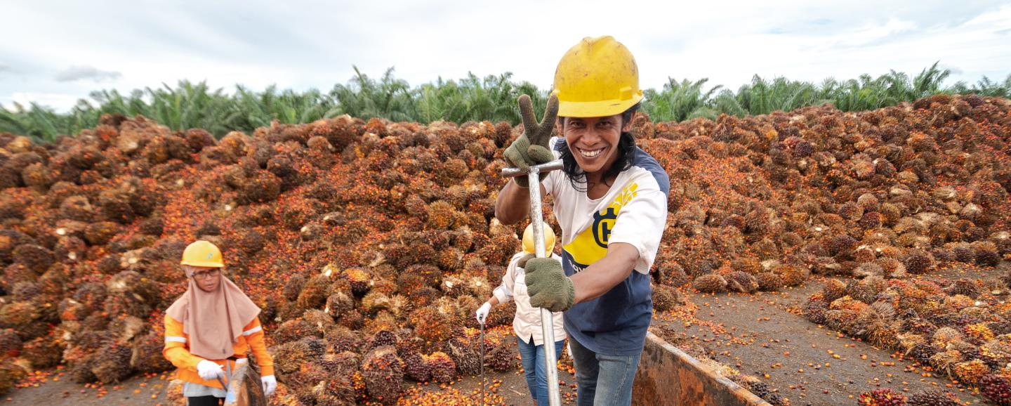 Women in a palm oil field