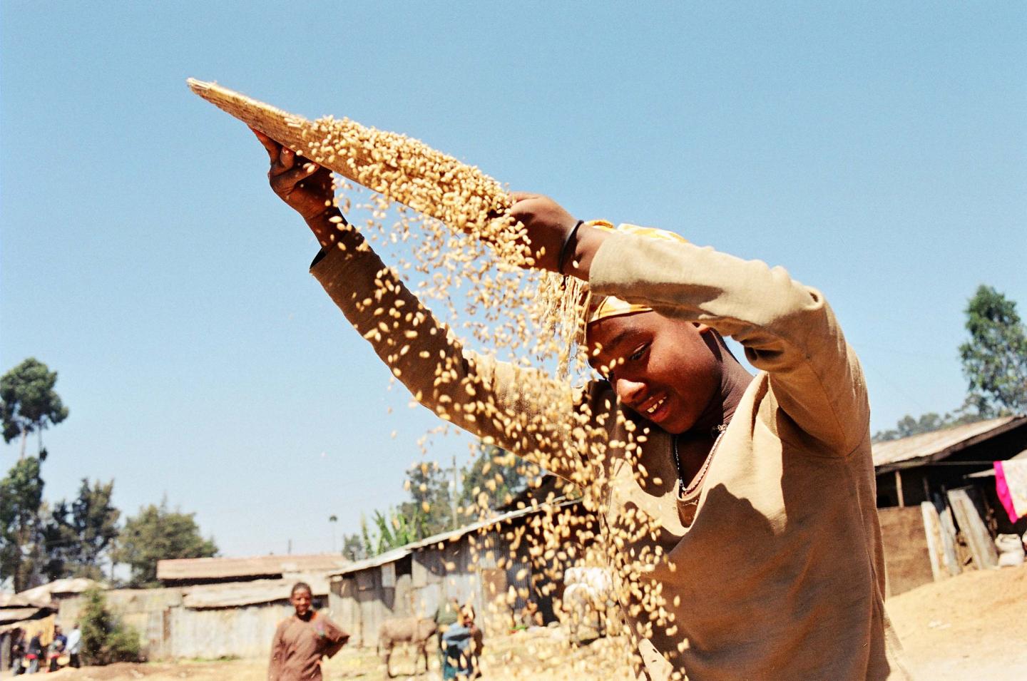 Stock image of a farmer