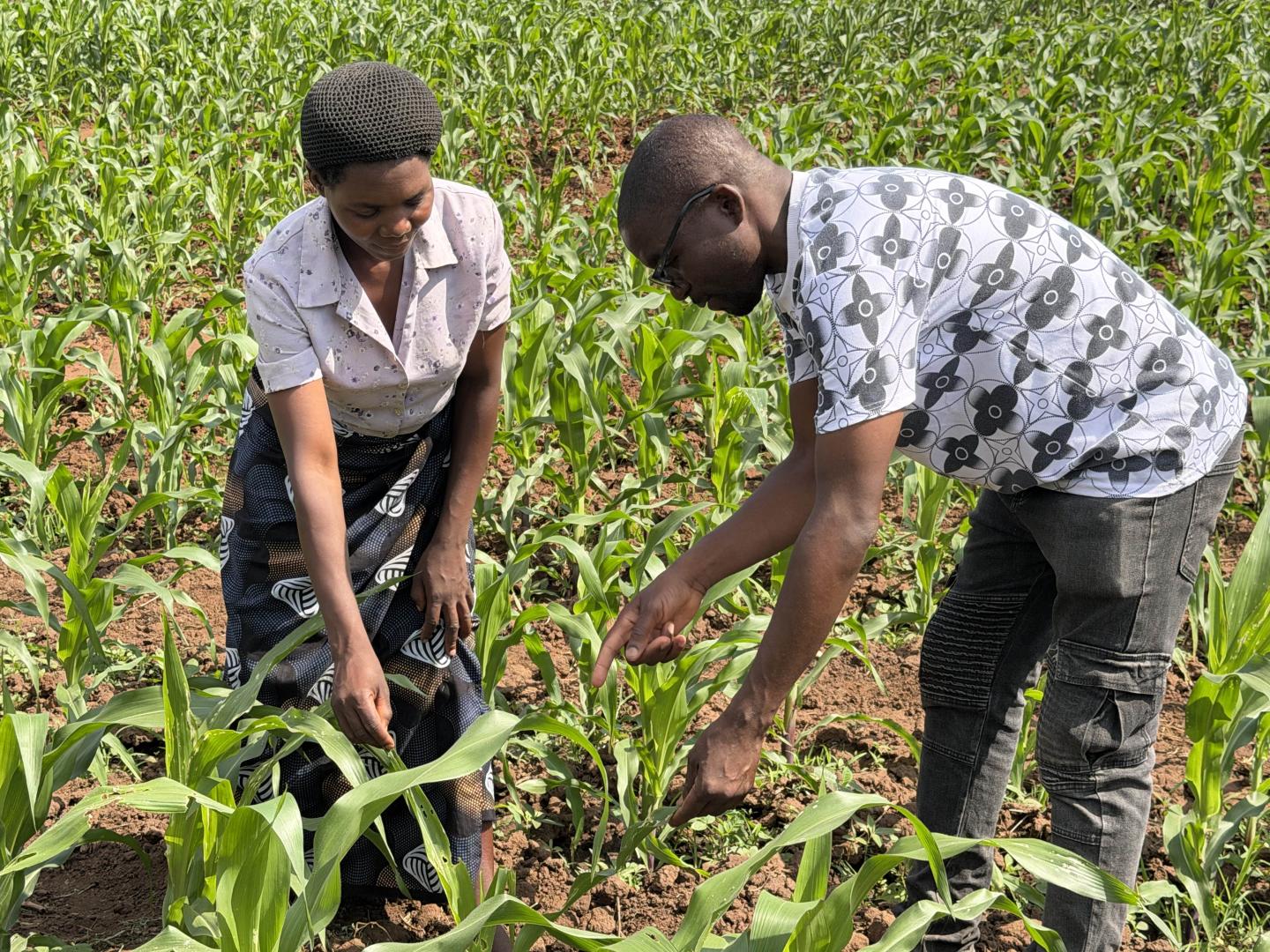 Woman and man farming